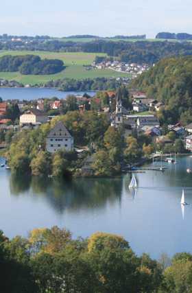 Susanne M�ller spielt Cello beim Mattseer Diabelli Sommer, Mr. Haydn Lovers